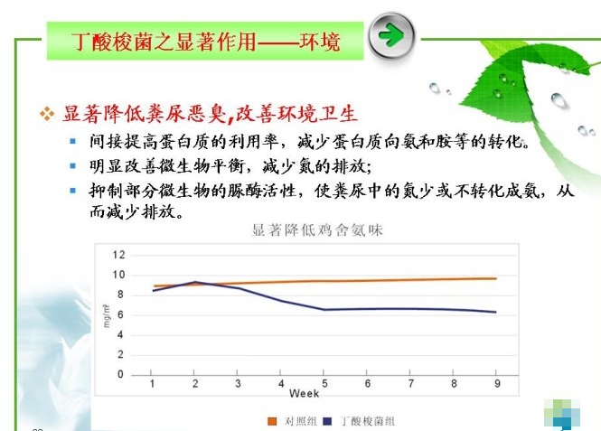 丁酸梭菌對環境的顯著效果.jpg