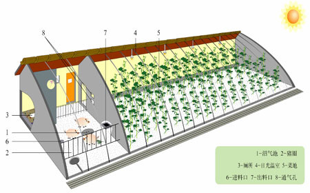 “豬-沼-果”等“三結合”生態農業模式 - 富硒幫 - 富硒幫物理農業博客