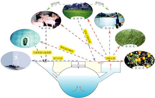“豬-沼-果”等“三結合”生態農業模式 - 富硒幫 - 富硒幫物理農業博客