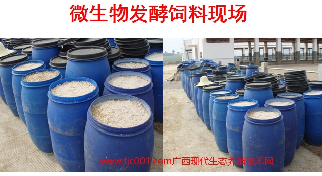生物飼料發酵現場.jpg