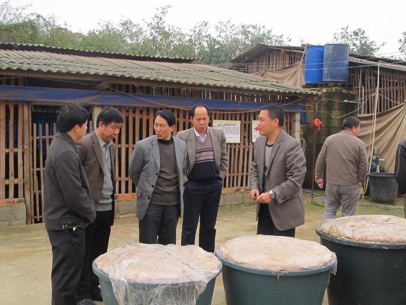 梁雨祥局長到三塘農場調研3.jpg