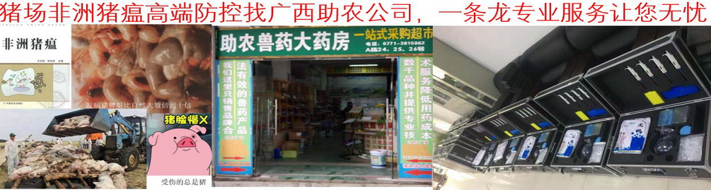 豬場非洲豬瘟高端防控找廣西助農公司，一條龍專業服務讓您無憂