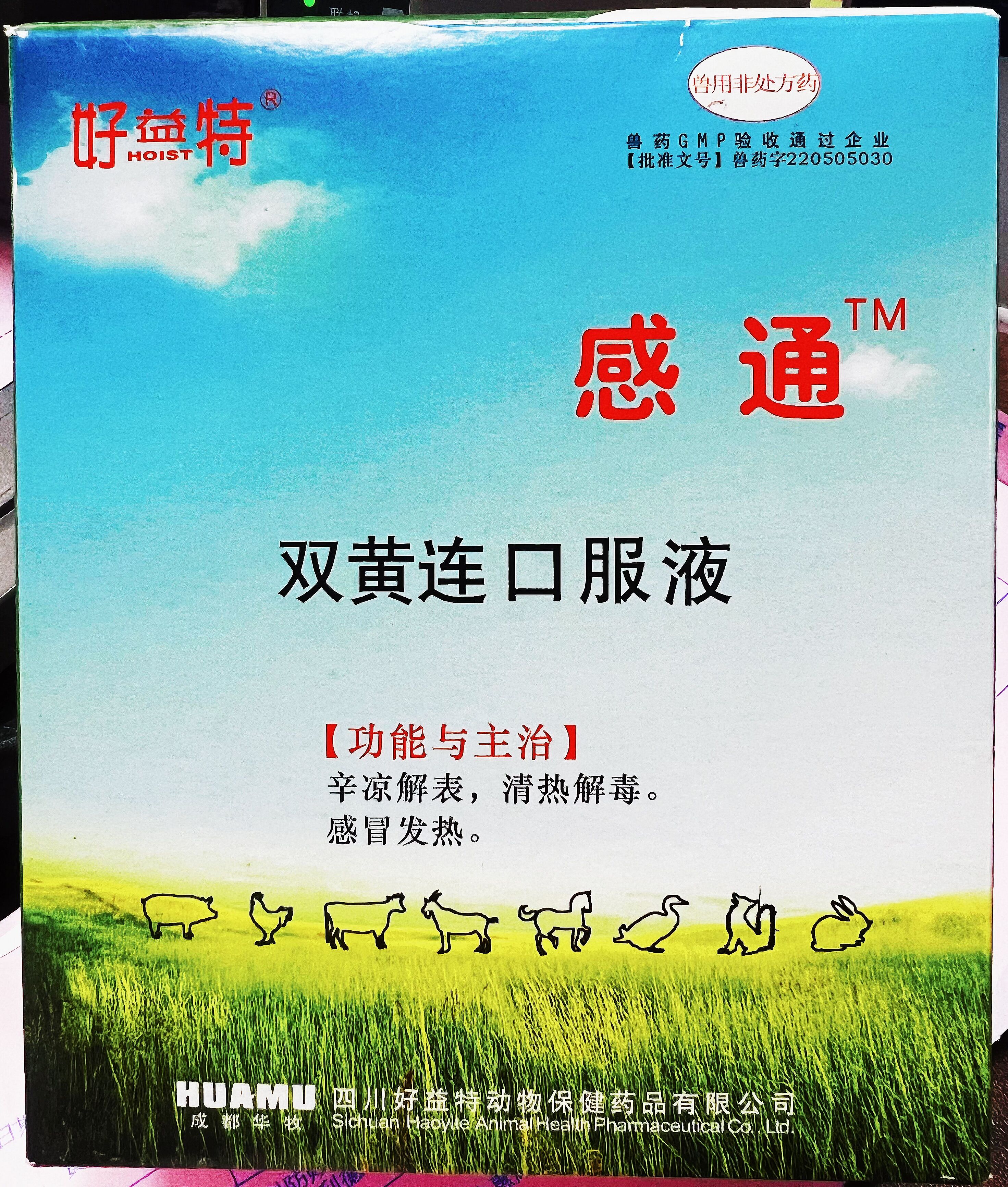 雙黃連口服液，辛涼解表，清熱解毒，感冒發熱，體溫升高，發熱與惡寒同時并見
