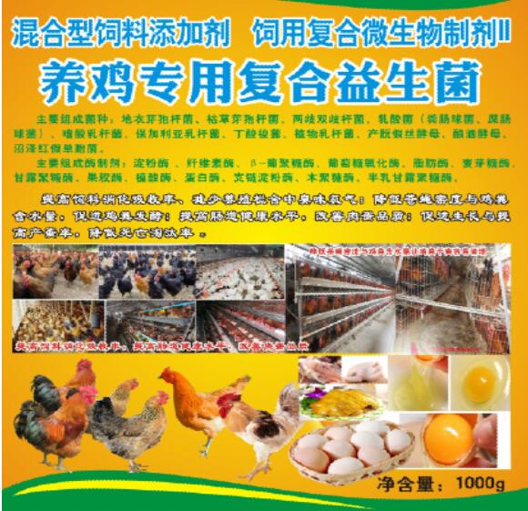養雞專用復合益生菌——雞場生態健康養殖專業益生微生物制劑產品，降低料耗、氨氣臭味，改善肉蛋品質