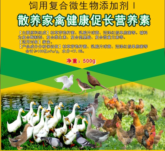 散養家禽健康促長營養素，散養土雞土鴨促長營養素，散養土蛋雞增產保健營養素