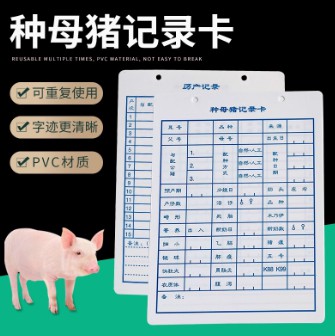 種母豬PVC記錄卡母豬生產配種記錄表雙面加厚防生產水產仔記錄卡