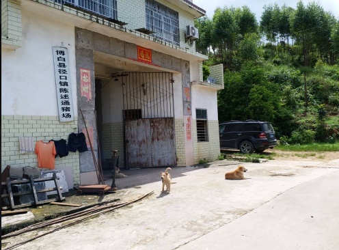 廣西助農服務在養殖場一線技術員0.png