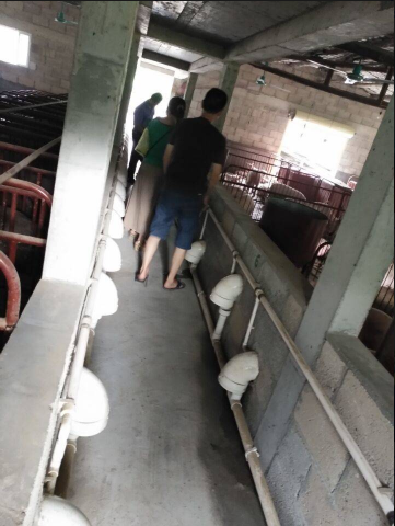 廣西助農服務在養殖場一線技術員12.png