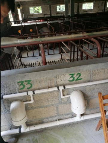廣西助農服務在養殖場一線技術員13.png