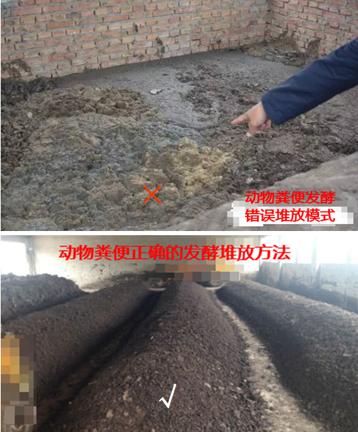 動(dòng)物糞便發(fā)酵堆放錯(cuò)誤與正確模式.png