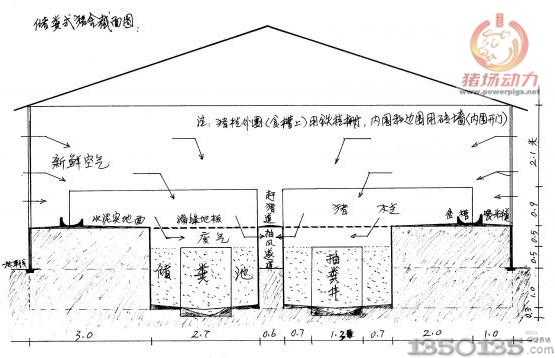 儲(chǔ)糞式豬舍截面圖