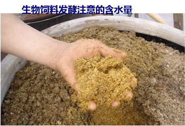 生物發酵飼料1.png