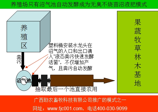養殖場只有沼氣池自動發酵成為無臭不燒苗沼液肥模式.jpg