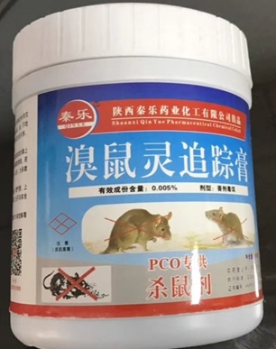 ç-é¼ è¿½è¸aè†.jpg