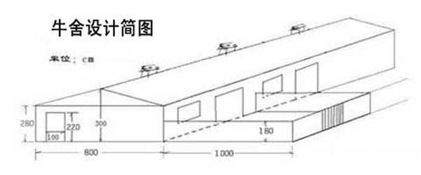 養(yǎng)牛場設(shè)計圖(整體圖)