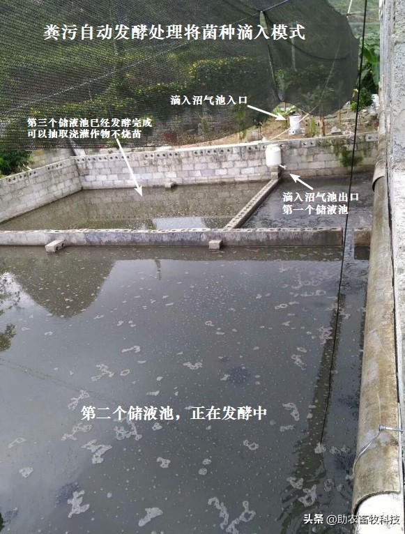 糞污自動(dòng)發(fā)酵處理將菌種滴入模式.jpg