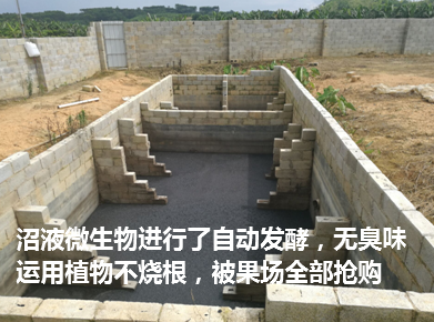 武鳴區(qū)現(xiàn)代生態(tài)豬場(chǎng)5.png
