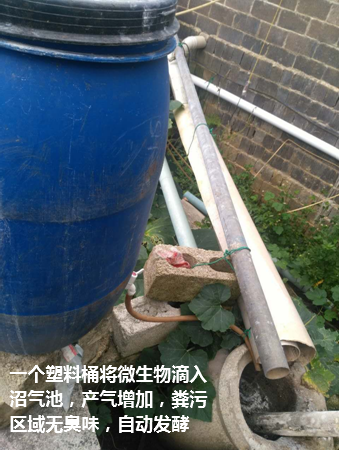 武鳴區(qū)現(xiàn)代生態(tài)豬場(chǎng)4.png