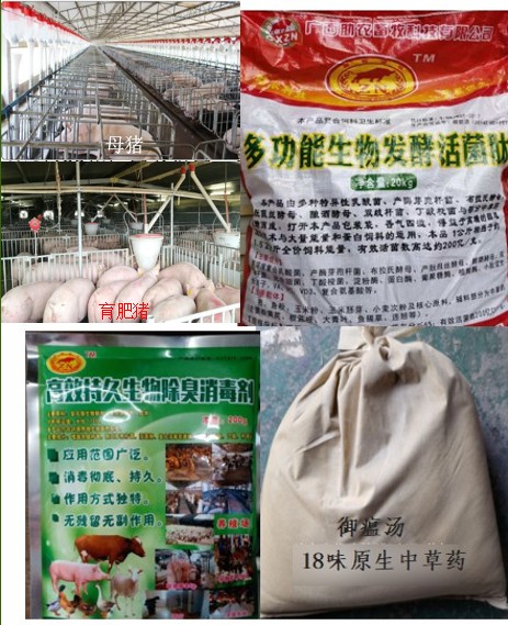 3個組合運用產品.jpg