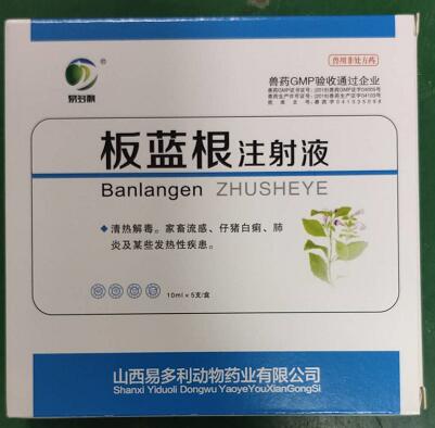 板藍根注射液常規1.jpg