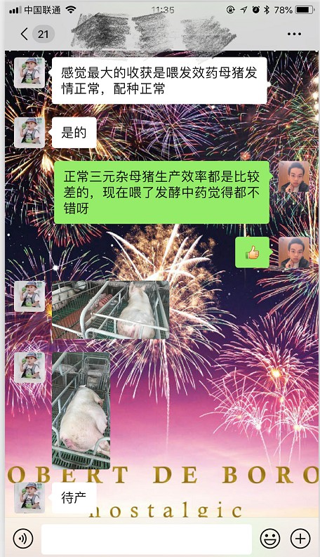 李老板對發(fā)酵中草藥效果很滿意.jpg