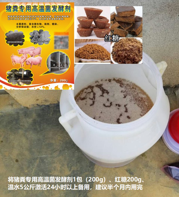 豬糞專用高溫菌發酵劑菌種激活.jpg