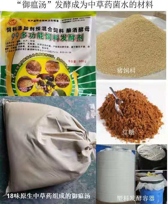 發酵中草藥菌水所需材料.jpg