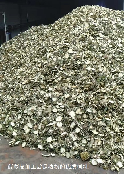 菠蘿皮加工后是動物的優質飼料1.jpg