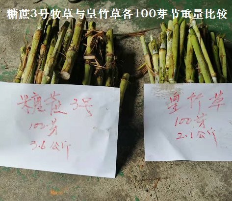 1645084283984653.png image.png
