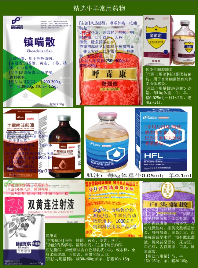 助農牛羊服務資料14.jpg