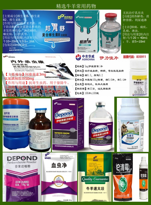 助農牛羊服務資料15.jpg