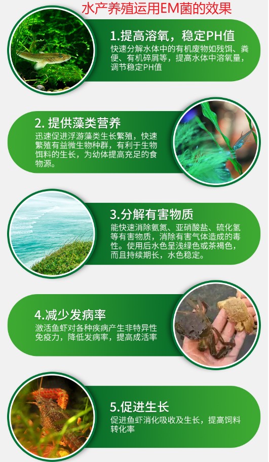 水產養殖運用EM菌的效果.jpg