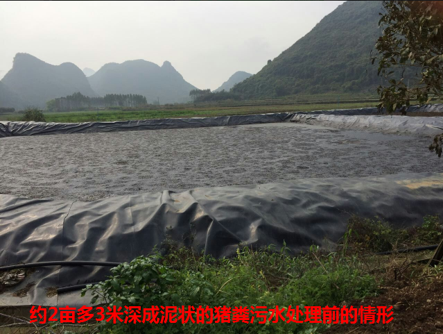養殖場污水生物處理劑28.png