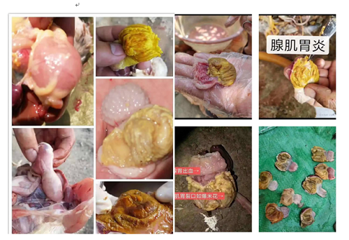 微信圖片_20231016153742.png