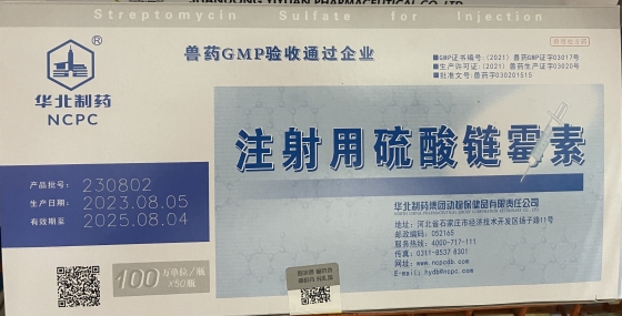 QQ圖片20231106124900.jpg