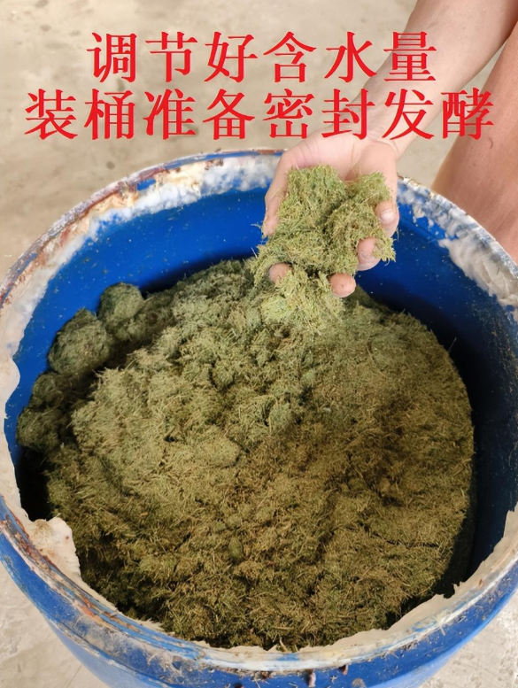 1711299729896481.png
