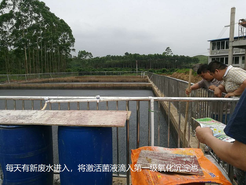 每天有新廢水進入，將激活菌液滴入第一級氧化沉淀池.jpg