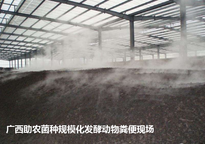 高熱腐熟菌（案例發酵現場）.png