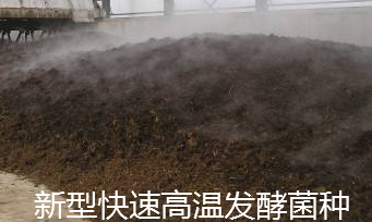 高熱腐熟菌（案例發酵現場1）.png