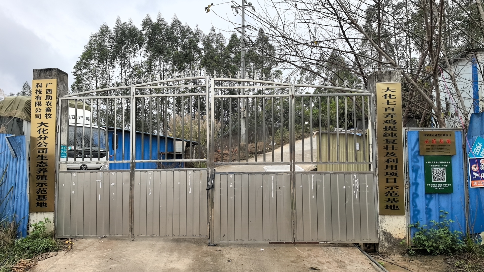 大化縣七百弄雞綠色高效種養技術集成與示范2.jpg