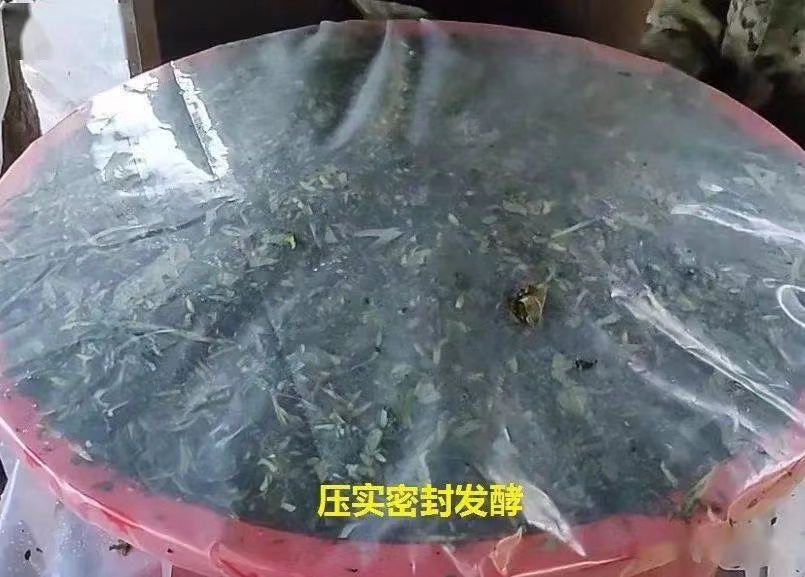 微信圖片_20250224100958.jpg