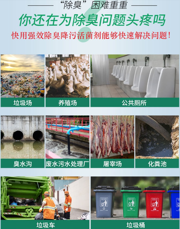 QQ圖片20250225111701.png