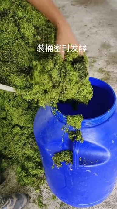 微信截圖_20250303112447.jpg