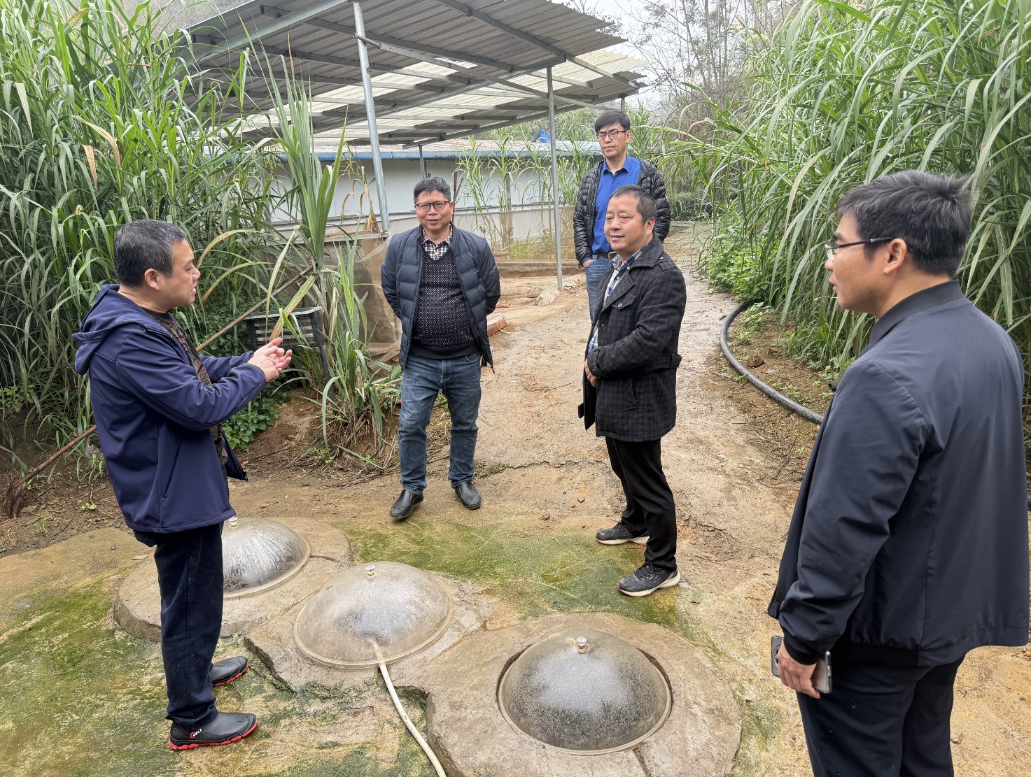 金陵農牧集團前來調研7.jpg