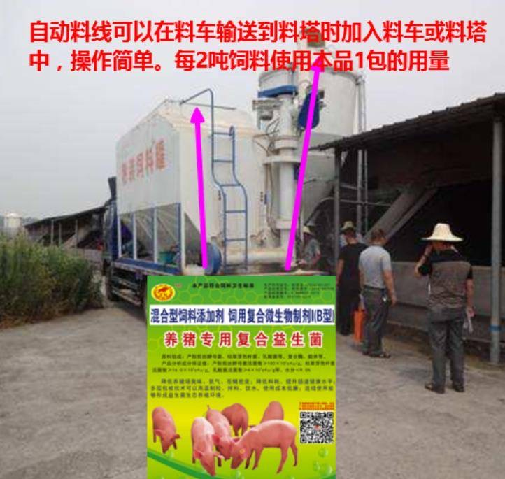 微信圖片_20250418110731.jpg