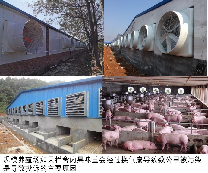 規模養殖場如果欄舍內臭味重會經過換氣扇導致數公里被污染，是導致投訴的主要原因.jpg