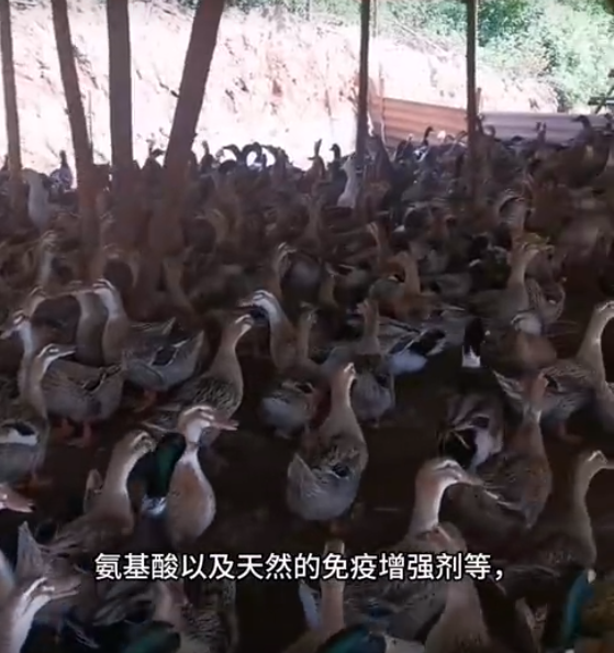 截圖20250630154044.png